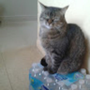 Meet your Posher, Jamie